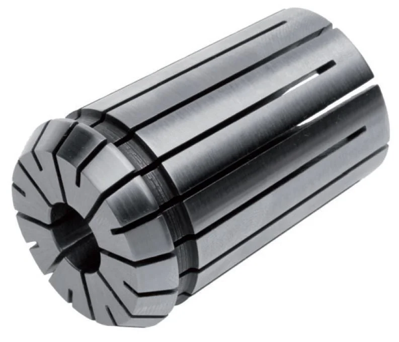 alicon1-2835166