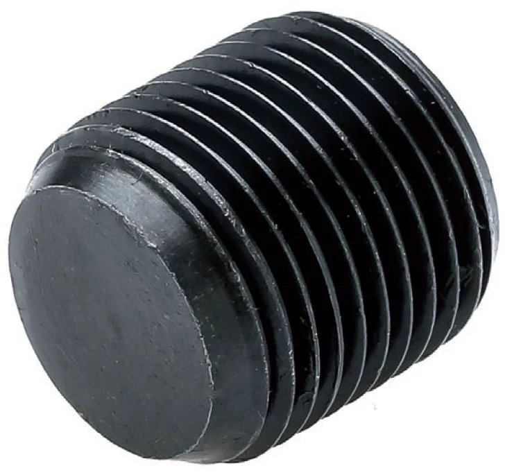 alicon1-2841243