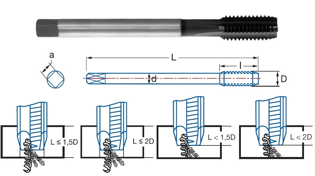 alicon1-2916062
