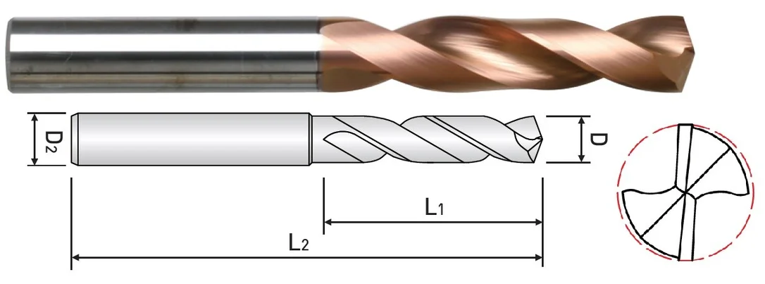 alicon1-2999291