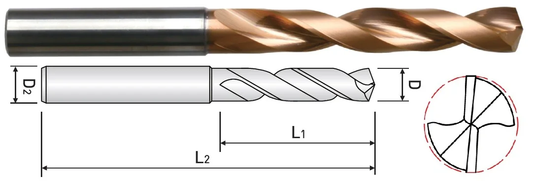 alicon1-3034328