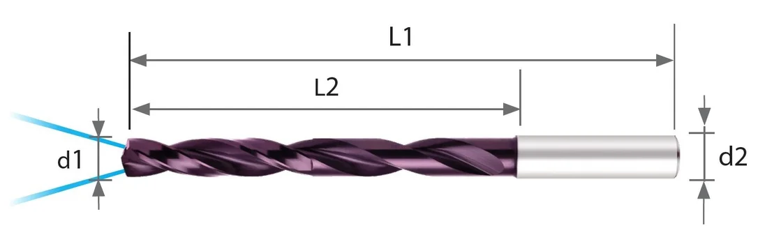 alicon1-3062242