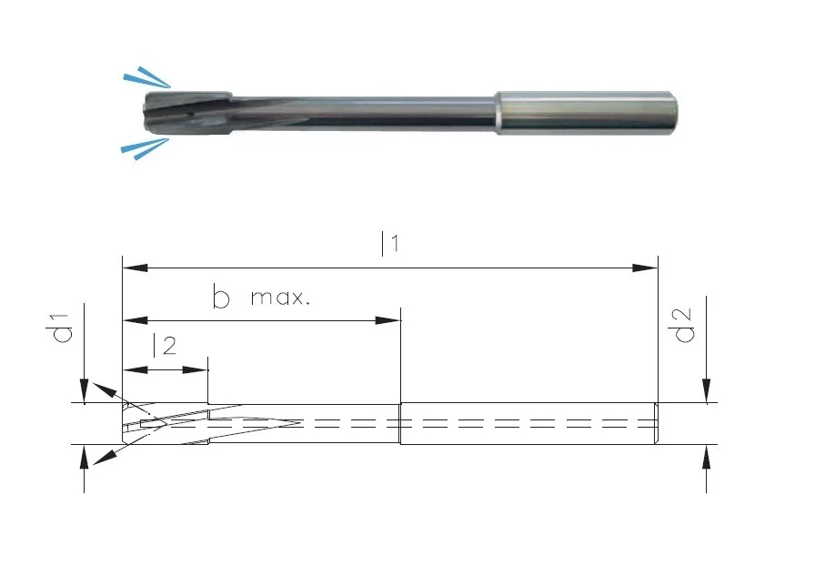 alicon1-3179877