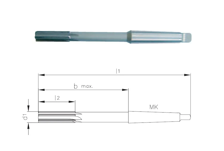 alicon1-3224316