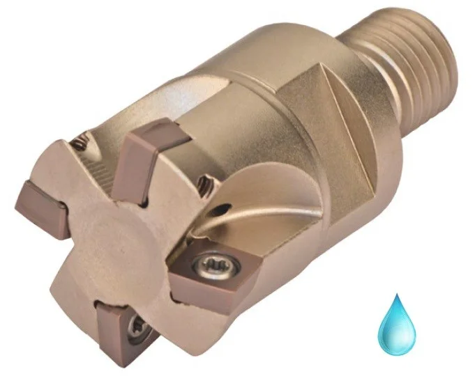 alicon2-2902549