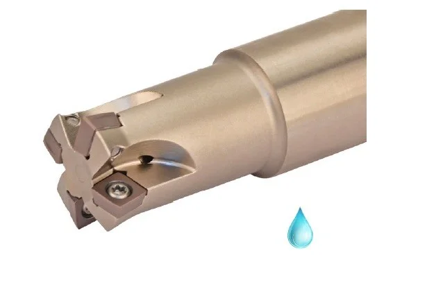 alicon2-2926864