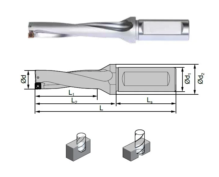 alicon2-3014397