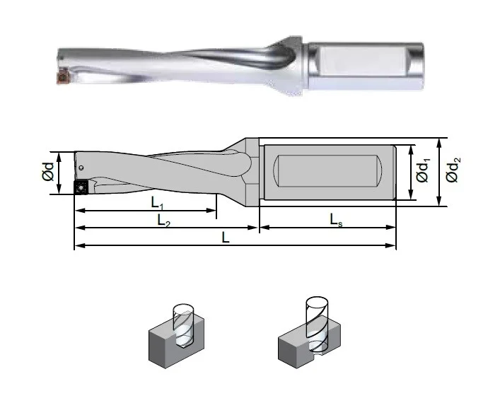 alicon2-3016267