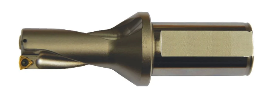 alicon4-2909983