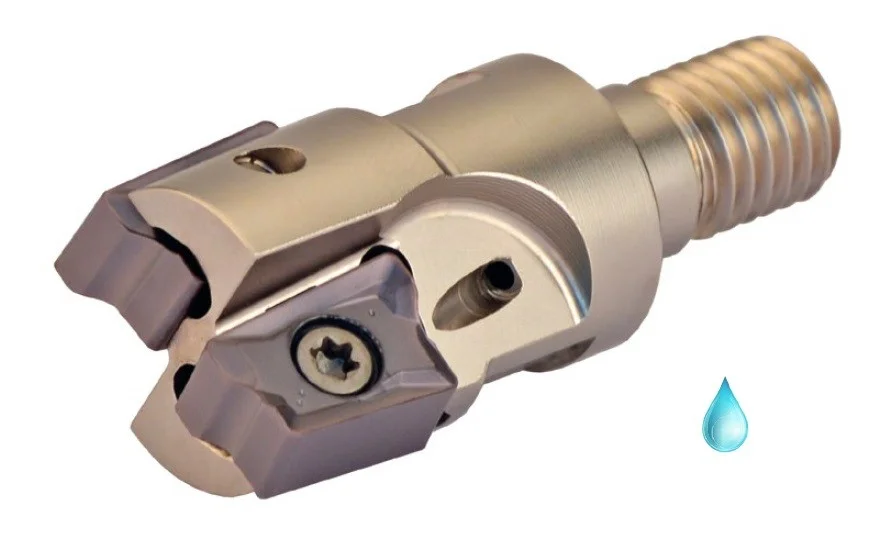 alicon4-3067070