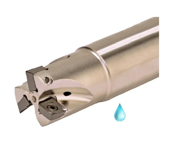 alicon4-3083966