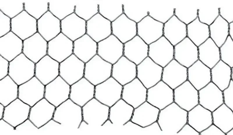 boukal1-3280140