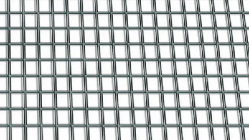 boukal1-3280413