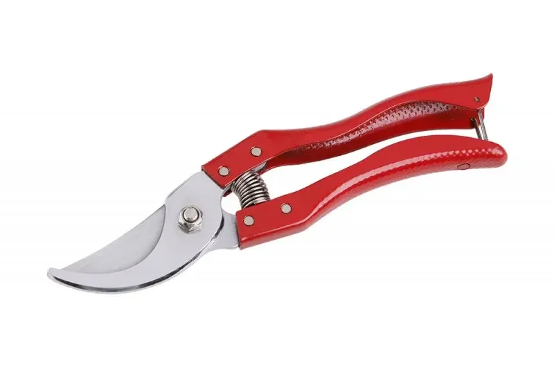 boukal1-3285956