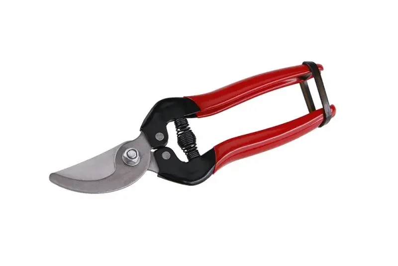 boukal1-3287356