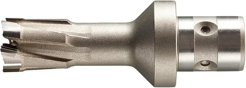 boukal1-3338895