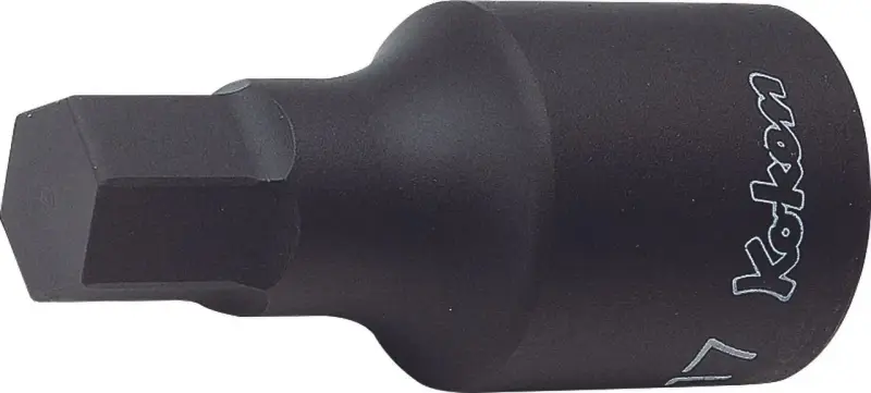 boukal2-3330743