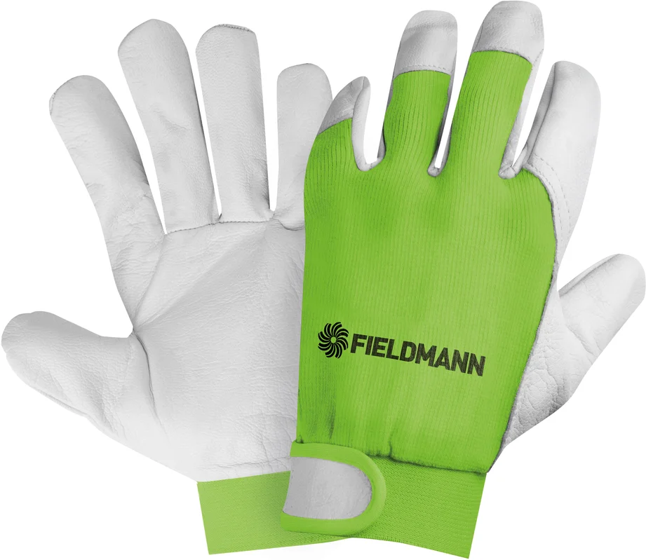 fieldmann-3015341