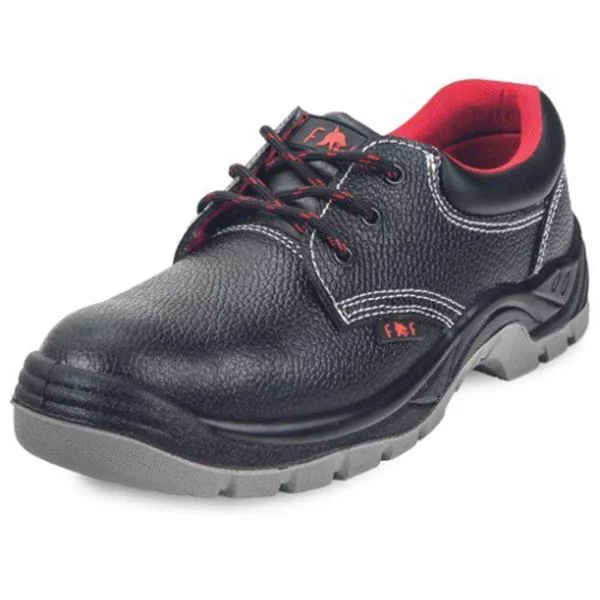 landsmann1-3336679