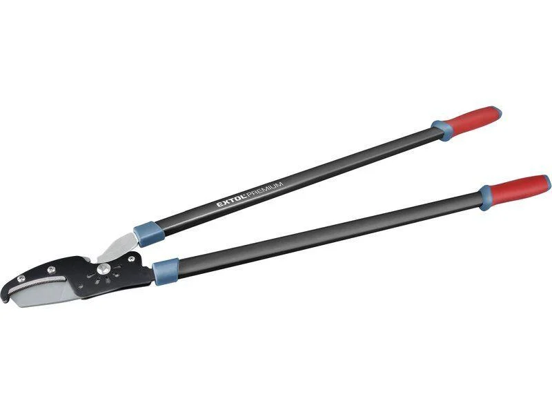 naradihornig-3088073