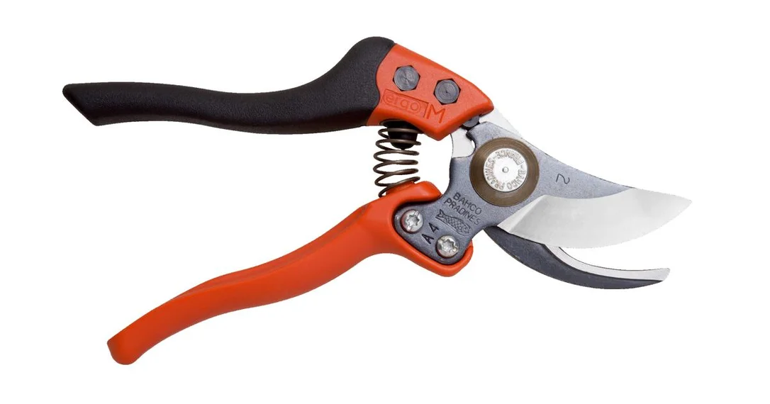 naradihornig-3127470