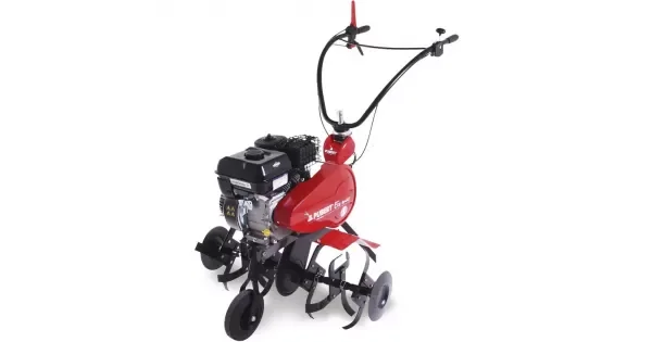 peddy-2916963