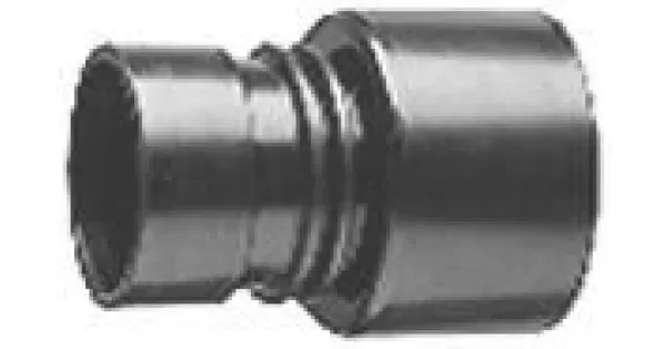peddy-2929044
