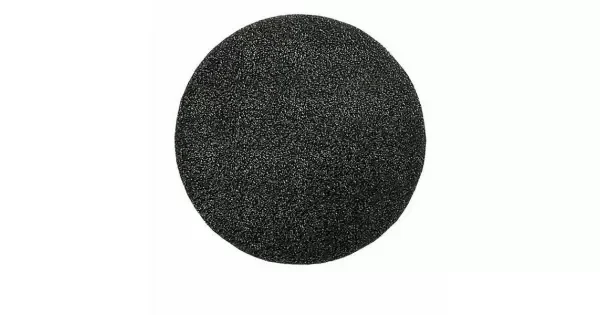 peddy-2931804