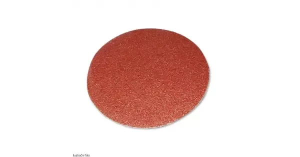 peddy-2941467