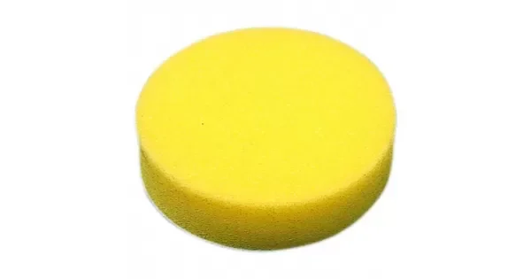 peddy-2957503