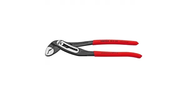 peddy-2971674