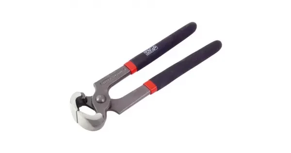 peddy-2977285