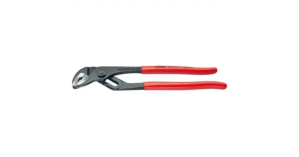 peddy-2985431