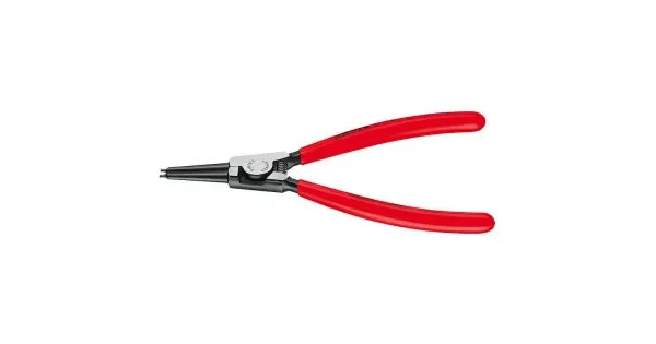 peddy-2990994