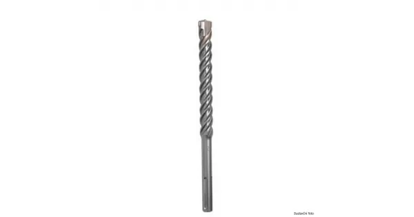 peddy-2991656
