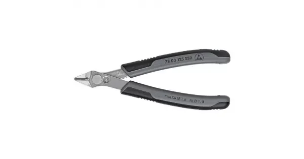 peddy-2993983