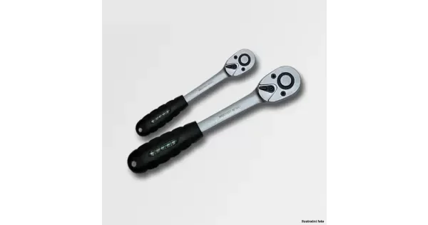 peddy-2995902