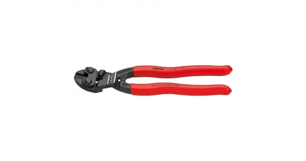 peddy-2998050