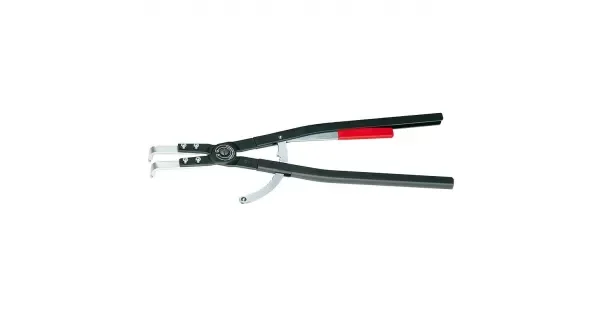 peddy-3007921