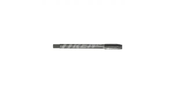 peddy-3016690