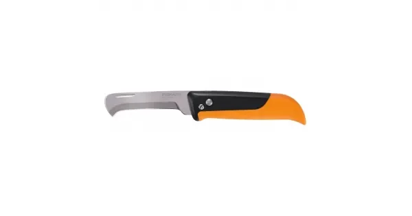 peddy-3030689