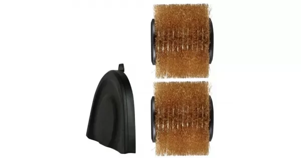 peddy-3033644