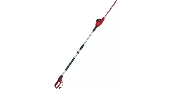 peddy-3050308