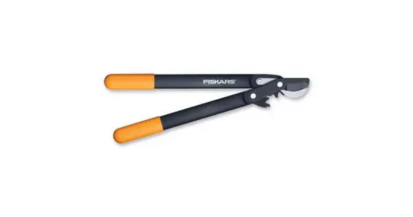 peddy-3051434