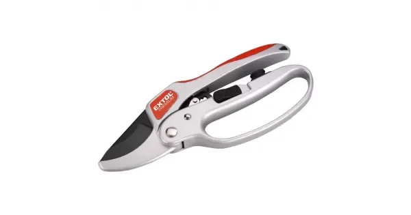 peddy-3053374