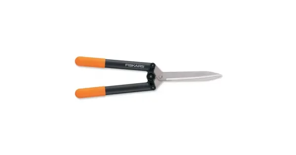 peddy-3073248