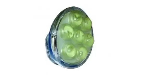 peddy-3096405