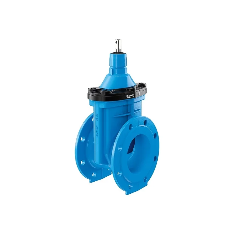 pkvplus-2829297